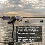 MOJO HW2492 Elite Series Diver Spinning Wing Duck Hunting Decoy, Redhead