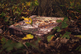 Hunt Comfort HCSC20 The Champion Seat w/ Realtree Xtra L-Core Dual Foam Cushion