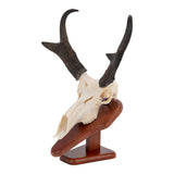 Allen Company EZ Skull Mount Presentation Pedestal & Plaque