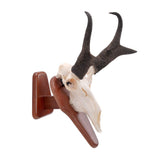 Allen Company EZ Skull Mount Presentation Pedestal & Plaque