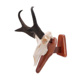 Allen Company EZ Skull Mount Presentation Pedestal & Plaque