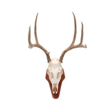 Allen Company EZ Skull Mount Presentation Pedestal & Plaque