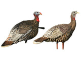 Avian-X AVX8009 Merriam Jake and Hen Turkey Decoy Combo Pack